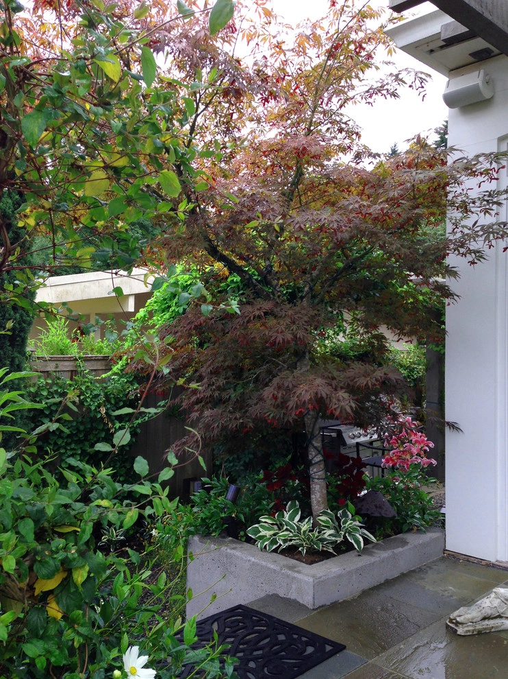 Recent Projects - Mercer Island Residence by Folia Horticultural + Design - Photo 18