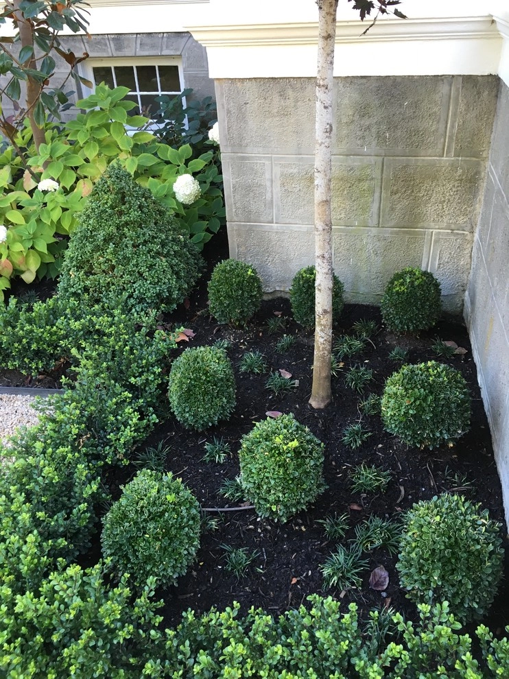 Recent Projects - Mt Baker Residence by Folia Horticultural + Design - Photo 4
