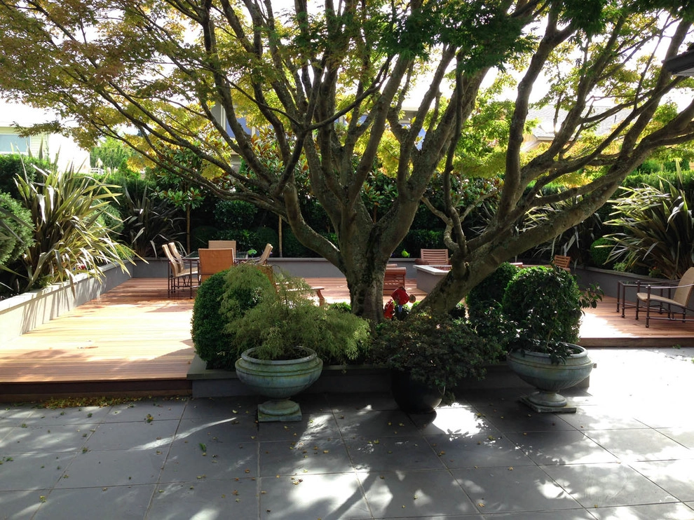 Recent Projects - Edmonds Residence by Folia Horticultural + Design - Photo 6