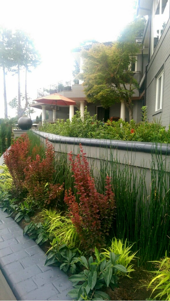 Recent Projects - Mercer Island Waterfront Residence by Folia Horticultural + Design - Photo 8