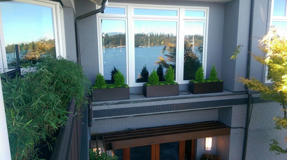 Recent Projects - Mercer Island Waterfront Residence by Folia Horticultural + Design - Photo 15