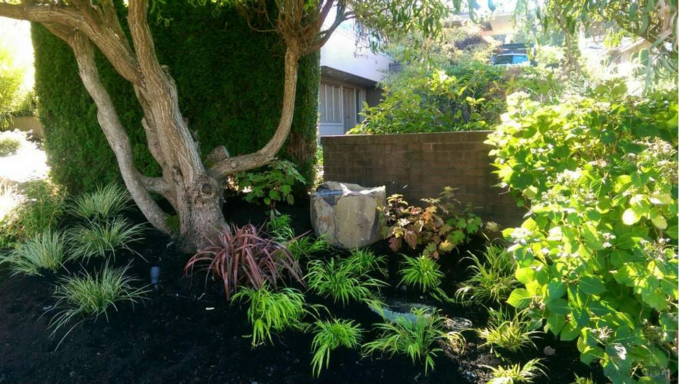 Recent Projects - Mercer Island Waterfront Residence by Folia Horticultural + Design - Photo 14