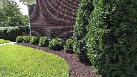 Alberto Alavez Professional Lawn Services LLC 5 by Alberto Alavez Professional Lawn Services LLC - Photo 15