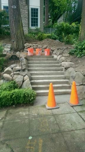 Recent Projects - Washington Park Project by Folia Horticultural + Design - Photo 10