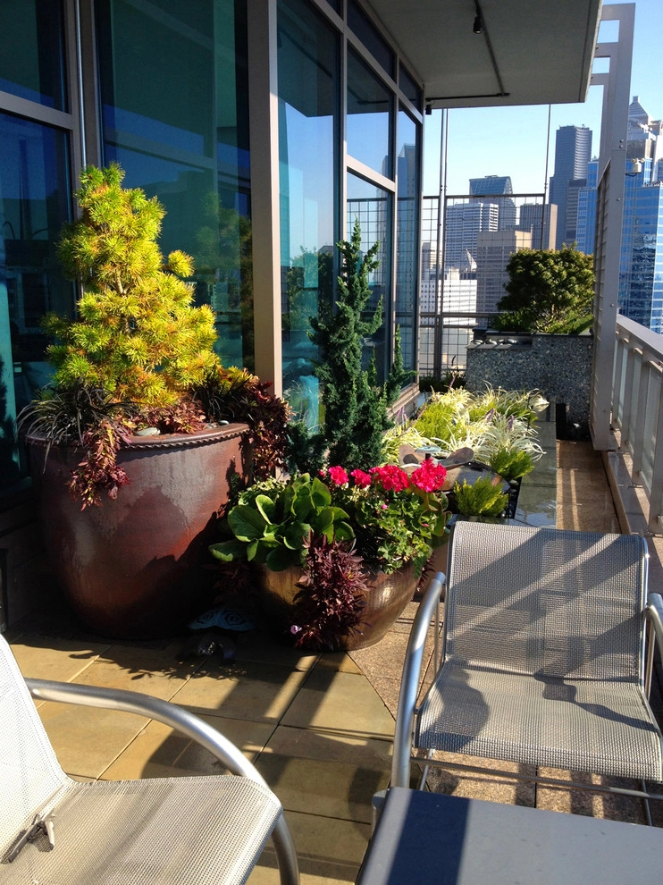 Recent Projects - Seattle Penthouse Deck by Folia Horticultural + Design - Photo 2