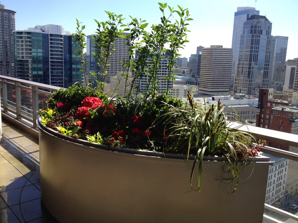 Recent Projects - Seattle Penthouse Deck by Folia Horticultural + Design - Photo 10