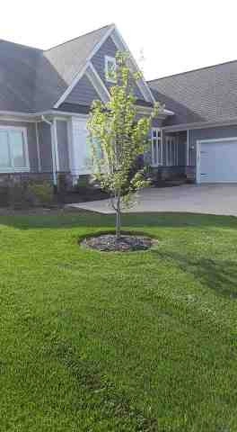 Alberto Alavez Professional Lawn Services LLC 5 by Alberto Alavez Professional Lawn Services LLC - Photo 56