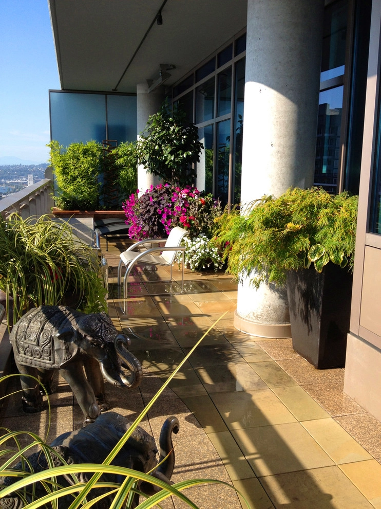 Recent Projects - Seattle Penthouse Deck by Folia Horticultural + Design - Photo 7