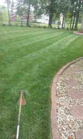 Alberto Alavez Professional Lawn Services LLC 5 by Alberto Alavez Professional Lawn Services LLC - Photo 78