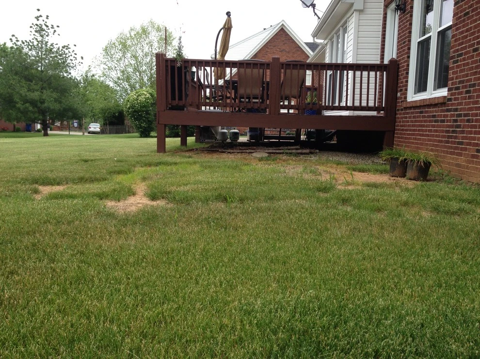 Forest Springs North by Bear Hands Landscaping - Photo 3