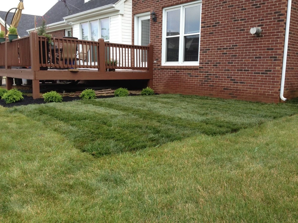 Forest Springs North by Bear Hands Landscaping - Photo 6