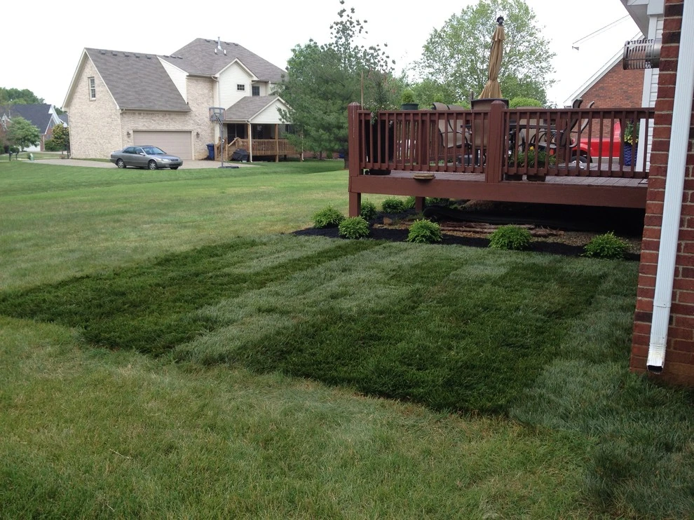 Forest Springs North by Bear Hands Landscaping - Photo 5
