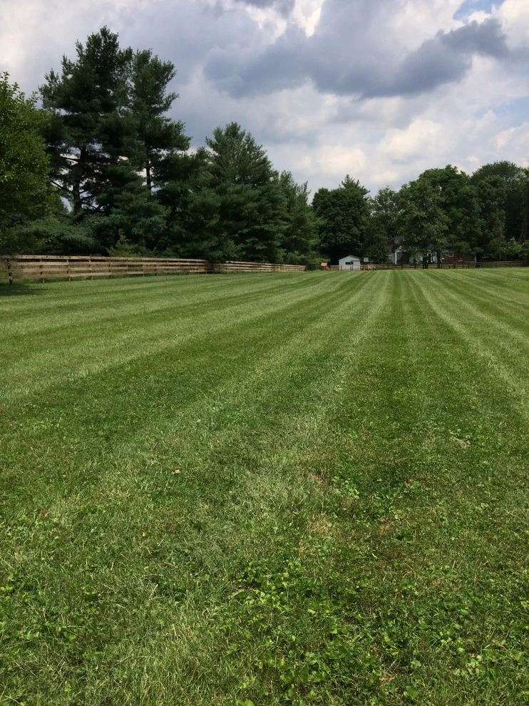 Maintenance by Bear Hands Landscaping - Photo 4