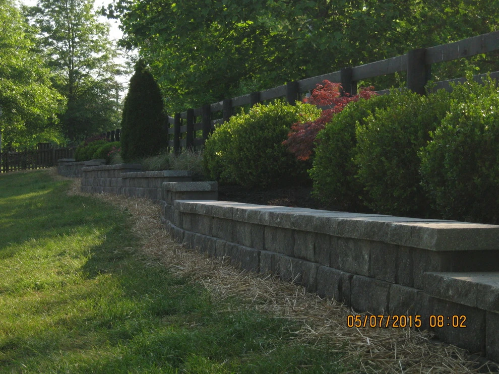 Juniper Forest by Bear Hands Landscaping - Photo 13