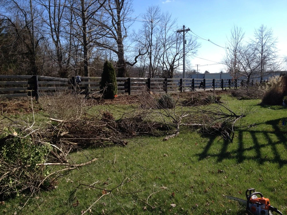 Juniper Forest by Bear Hands Landscaping - Photo 5
