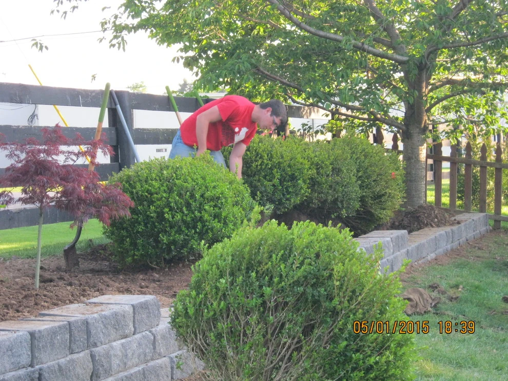 Juniper Forest by Bear Hands Landscaping - Photo 23