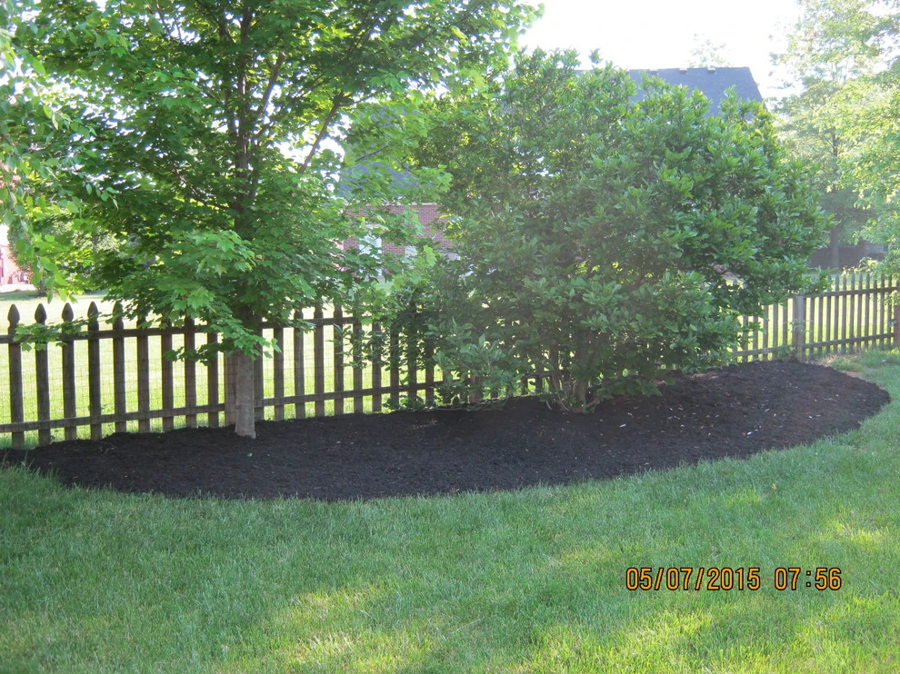 Juniper Forest by Bear Hands Landscaping - Photo 9