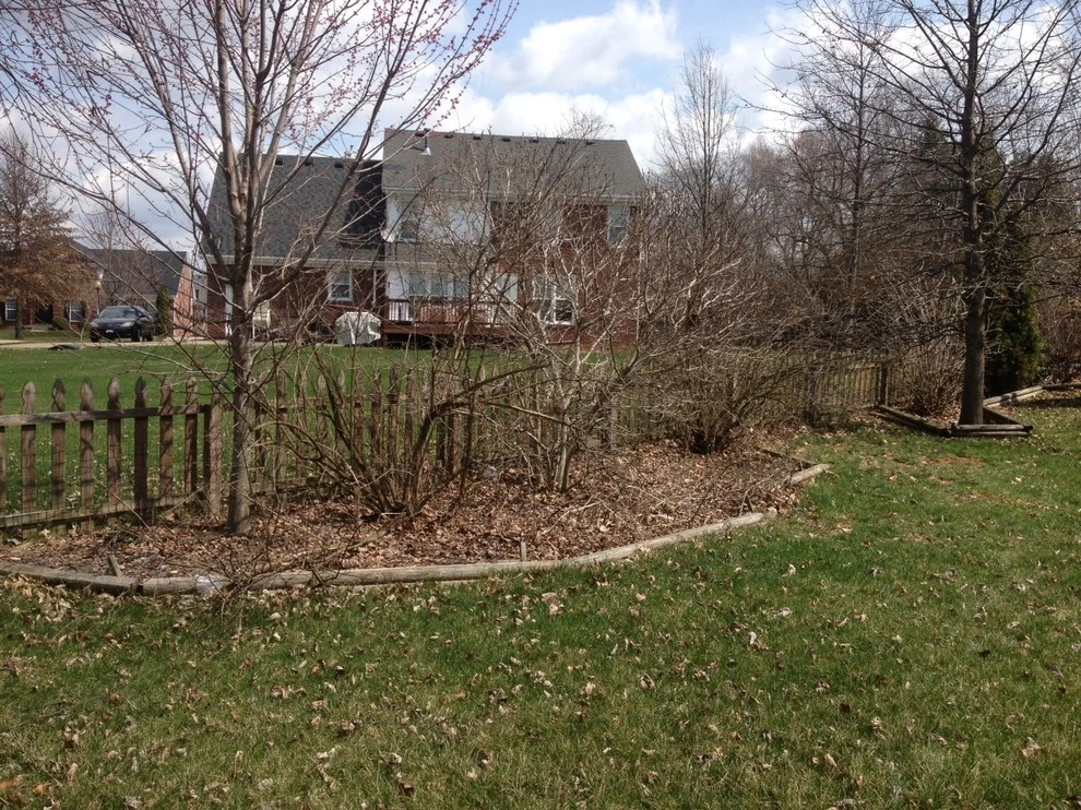 Juniper Forest by Bear Hands Landscaping - Photo 15