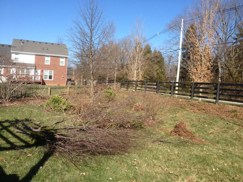 Juniper Forest by Bear Hands Landscaping - Photo 20