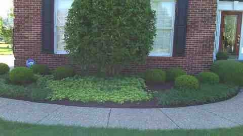 Alberto Alavez Professional Lawn Services LLC 5 by Alberto Alavez Professional Lawn Services LLC - Photo 29
