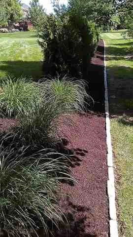 Alberto Alavez Professional Lawn Services LLC 5 by Alberto Alavez Professional Lawn Services LLC - Photo 24