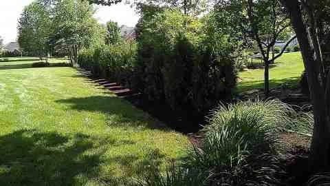 Alberto Alavez Professional Lawn Services LLC 5 by Alberto Alavez Professional Lawn Services LLC - Photo 40