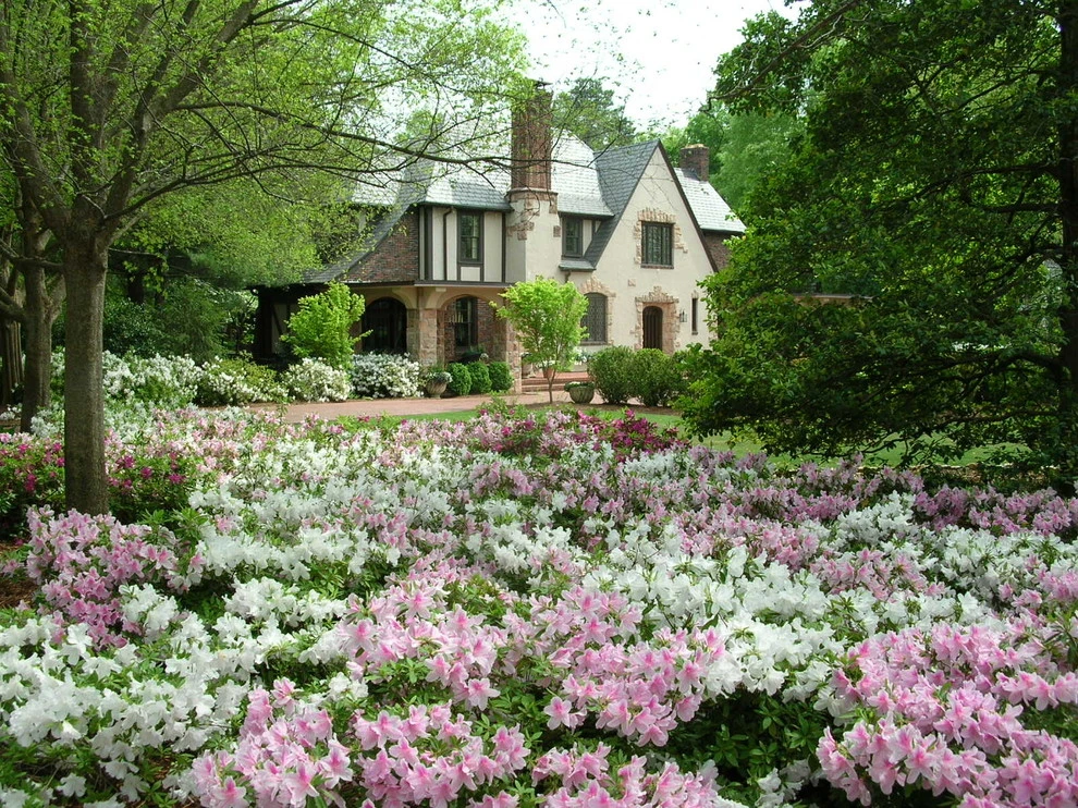 Curb Appeal by Blackjack Horticulture - Photo 4