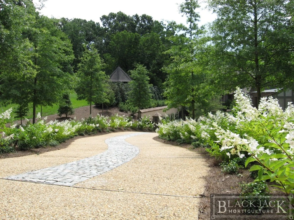 Curb Appeal by Blackjack Horticulture - Photo 5