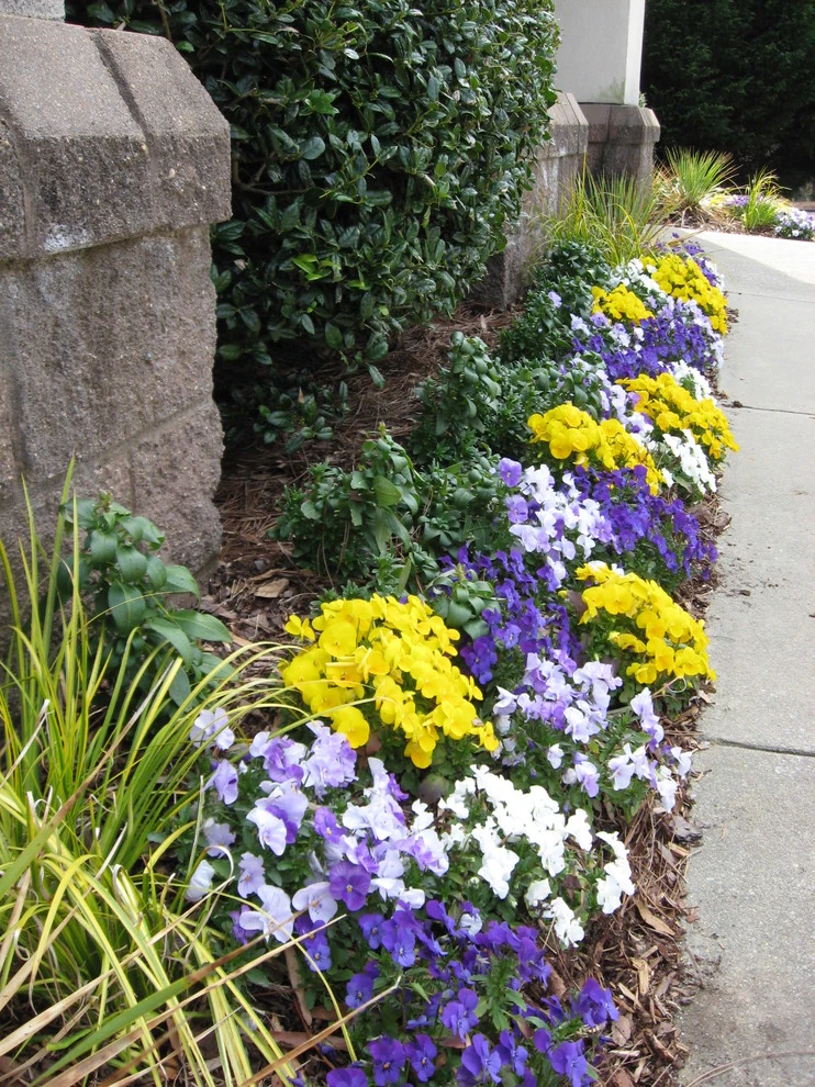 Fall Flowers by Blackjack Horticulture - Photo 7
