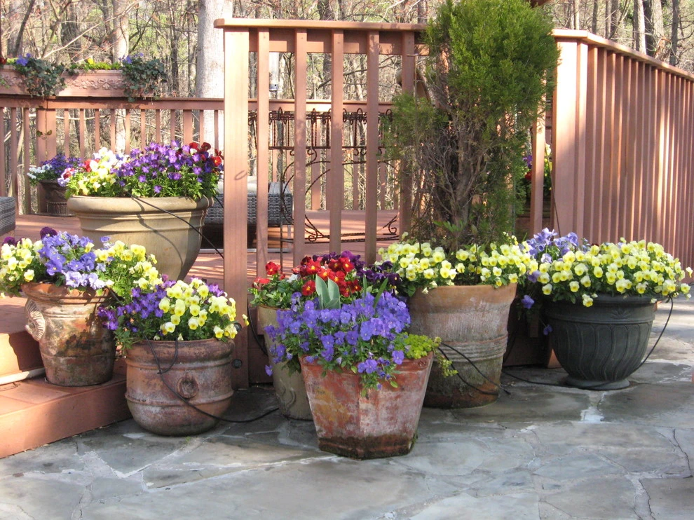 Fall Flowers by Blackjack Horticulture - Photo 10