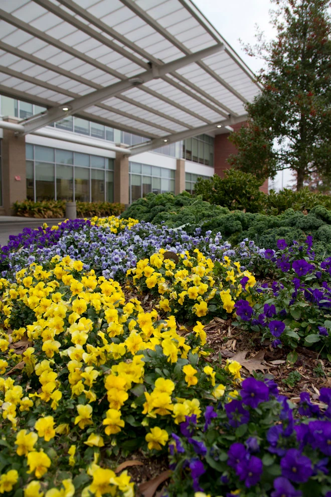 Fall Flowers by Blackjack Horticulture - Photo 4