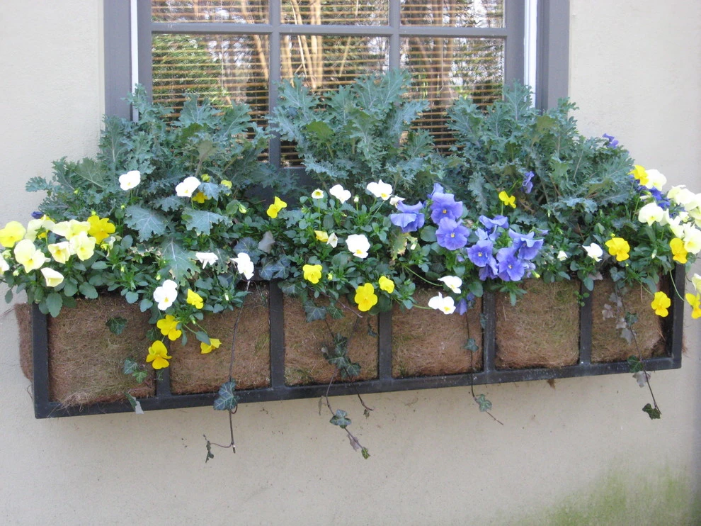 Fall Flowers by Blackjack Horticulture - Photo 8