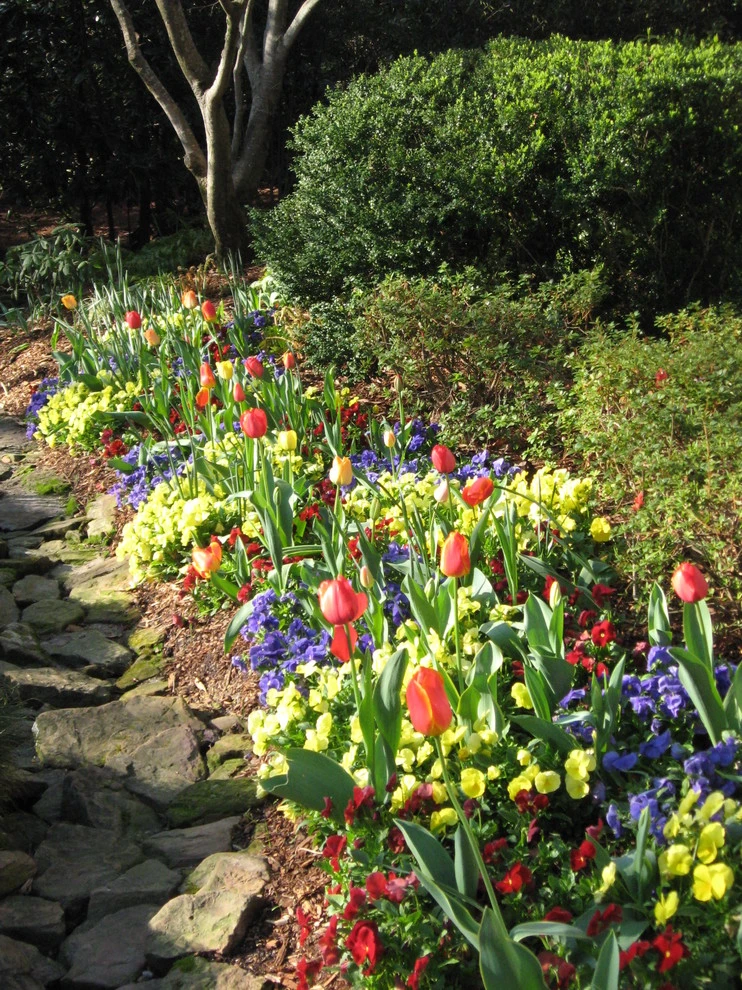 Fall Flowers by Blackjack Horticulture - Photo 2