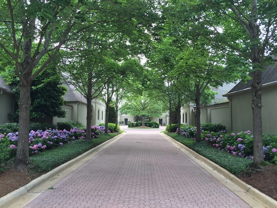 Summertime by Blackjack Horticulture - Photo 3