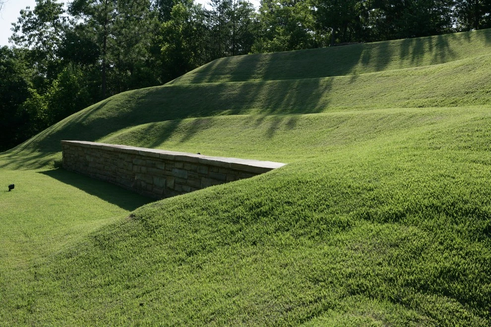 Liberty Park Residence by Blackjack Horticulture - Photo 4