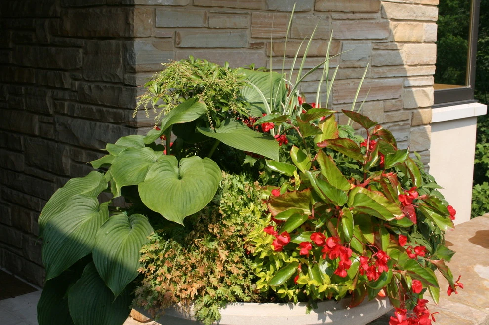 Liberty Park Residence by Blackjack Horticulture - Photo 7