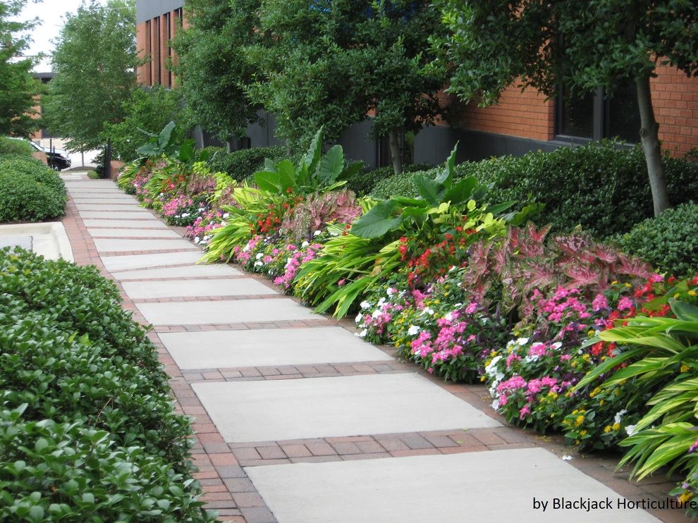 Blackjack Horticulture - Photo 6