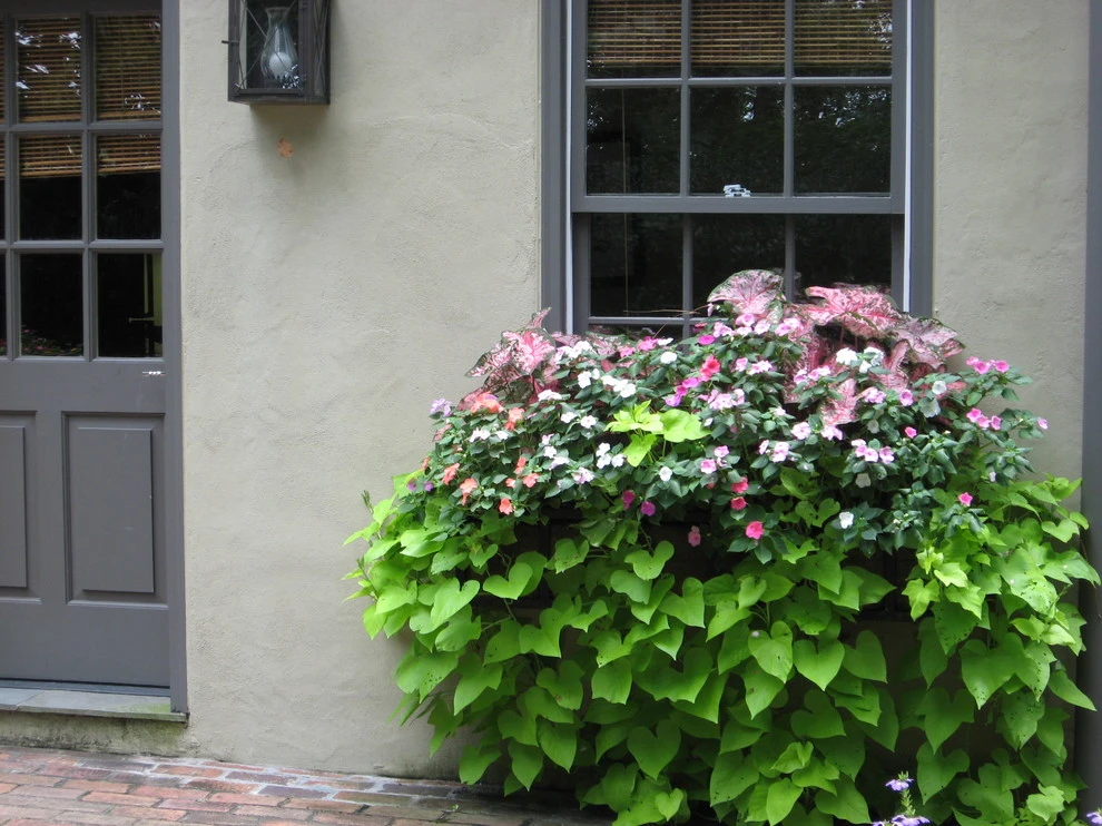 Spring Flowers by Blackjack Horticulture - Photo 12