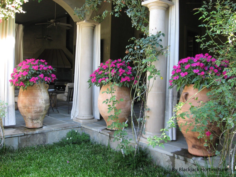 Spring Flowers by Blackjack Horticulture - Photo 11