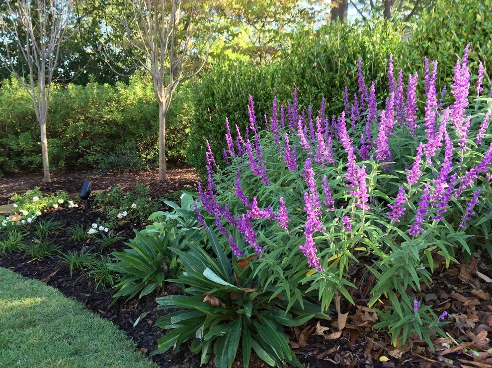 Spring Flowers by Blackjack Horticulture - Photo 16