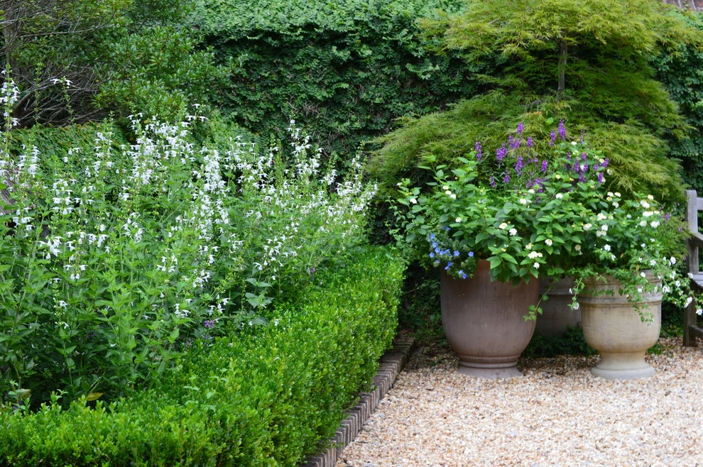 Spring Flowers by Blackjack Horticulture - Photo 8