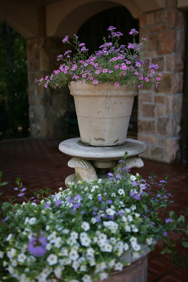 Spring Flowers by Blackjack Horticulture - Photo 17