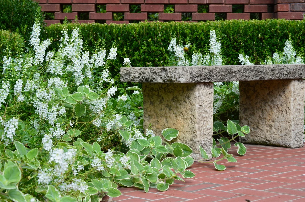 Spring Flowers by Blackjack Horticulture - Photo 9