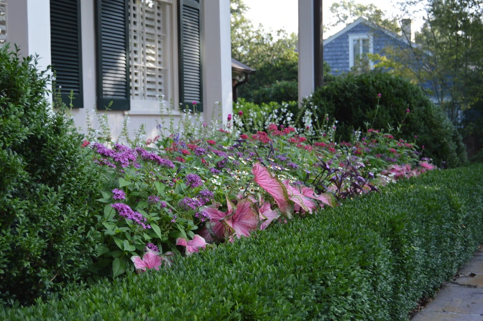 Spring Flowers by Blackjack Horticulture - Photo 5