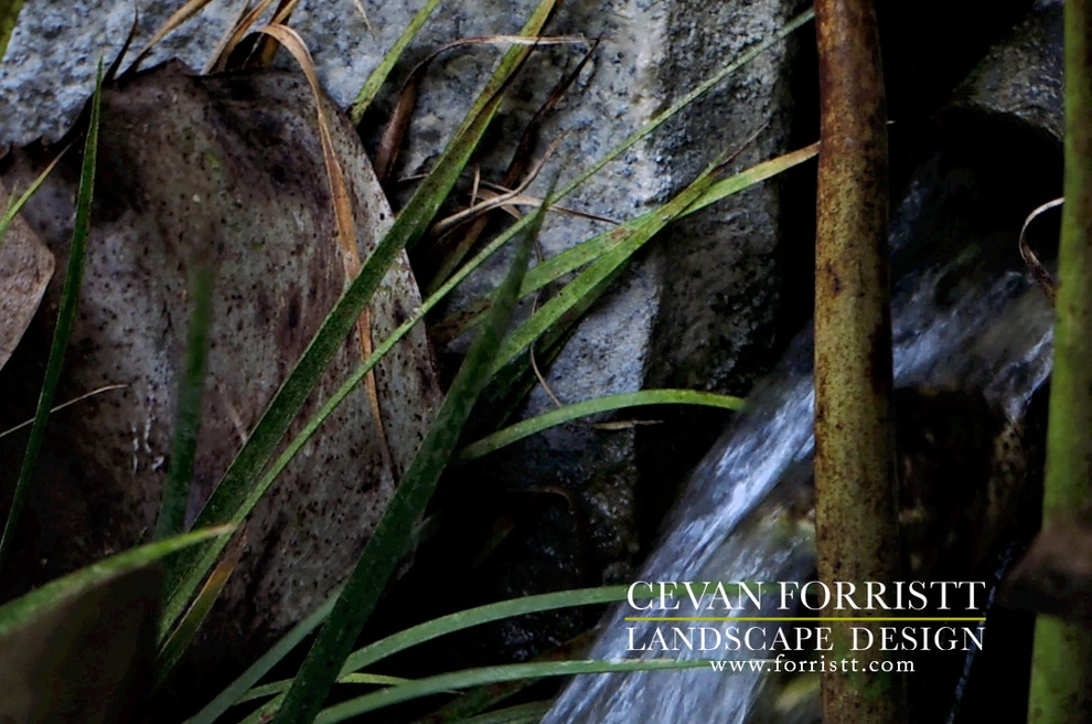 My Own Garden by Forristt Landscape Design - Photo 11