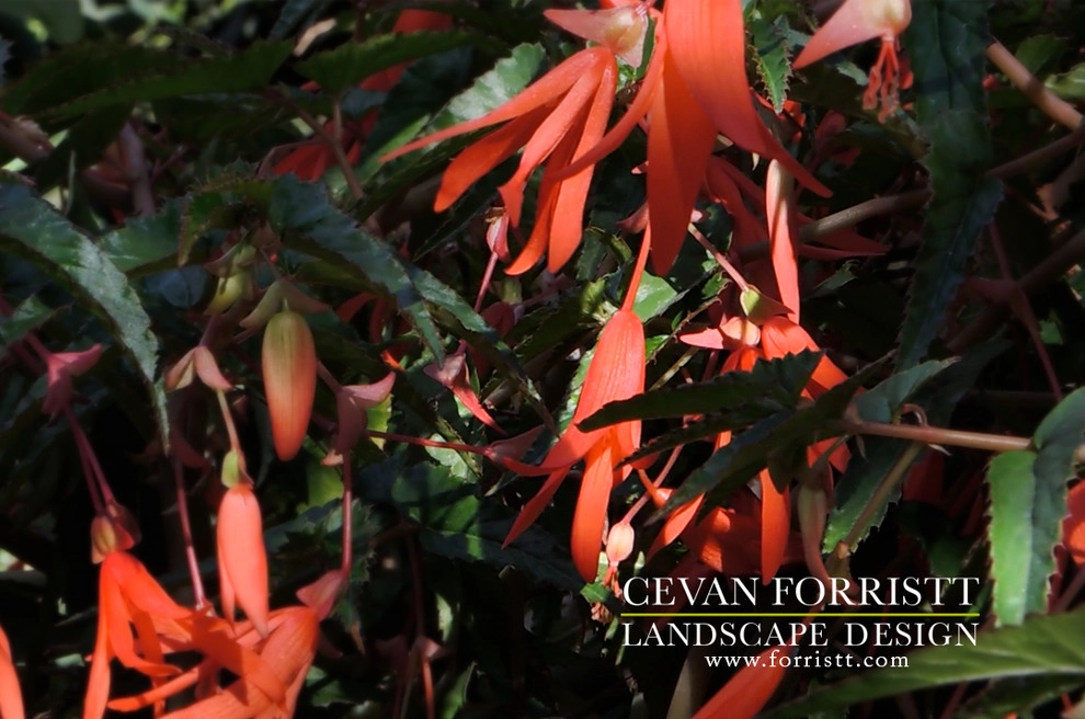 Forristt Landscape Design - Photo 5