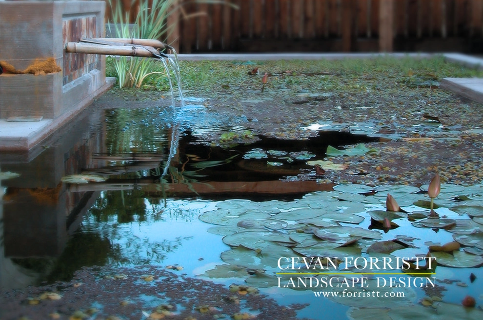 A Contemporary Garden by Forristt Landscape Design - Photo 3