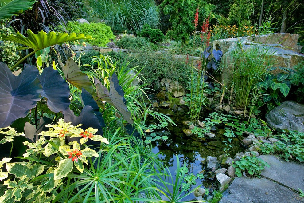 Ponds & Swimming Pools by Foster's Inc. Landscape Design & Installation - Photo 9