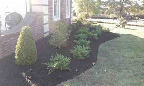 Alberto Alavez Professional Lawn Services LLC 4 by Alberto Alavez Professional Lawn Services LLC - Photo 138