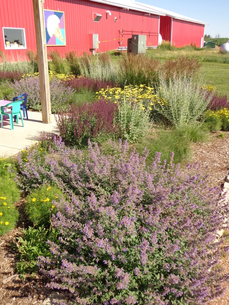 Softened Summer Shelter by Four Of Six Landscape - Photo 5